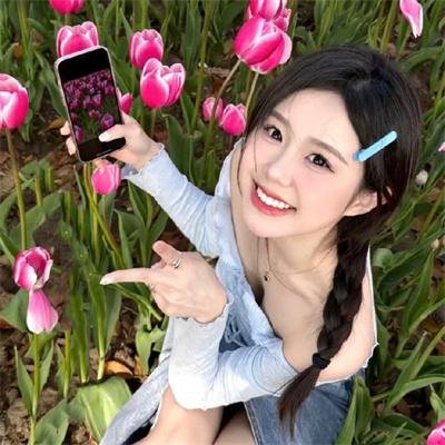 彩凤嬉春